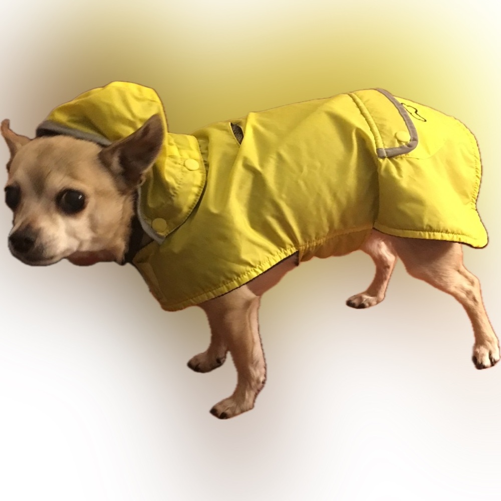 CHELSEA PAWS 12” Yellow Hooded Rain Jacket for Small Dogs
